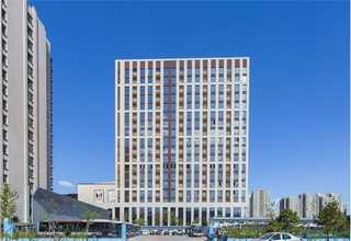 福建批发黄花菜特价